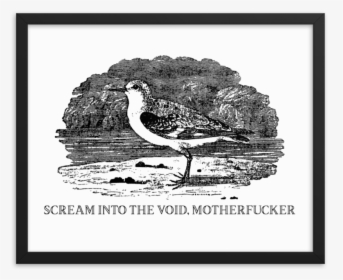 Scream Into The Void Framed Poster   Srcset Data - Scream Into The Void, HD Png Download, Transparent PNG